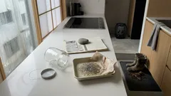 1935年のヒキガエル導入はなぜ裏目に出たのか――数字でたどる外来種の教訓